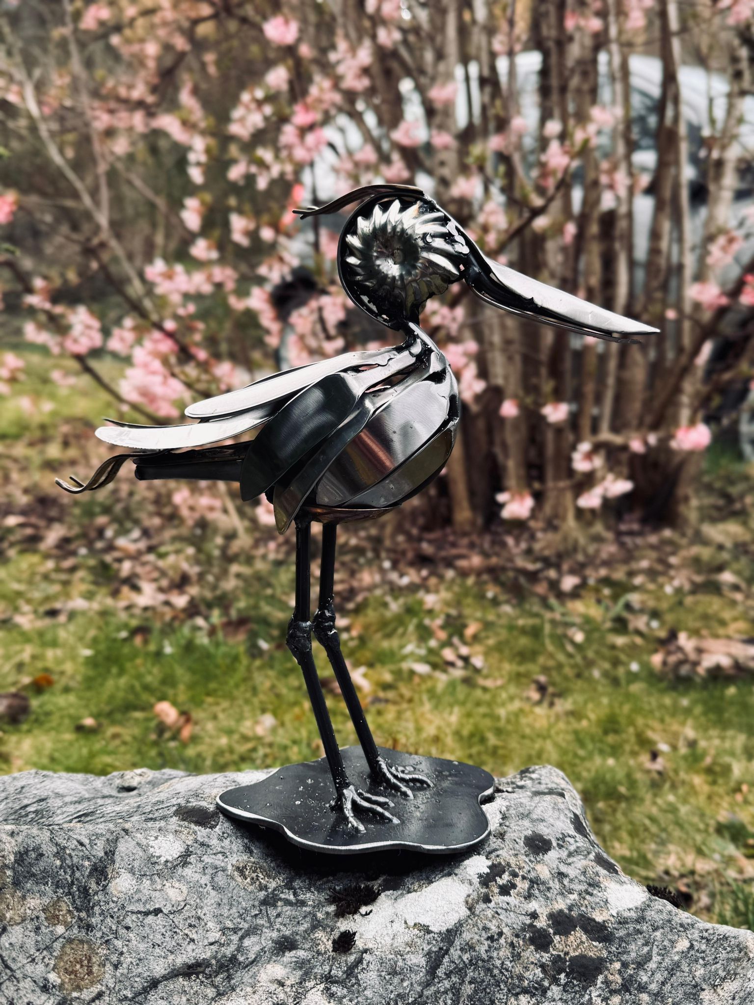 bird 1