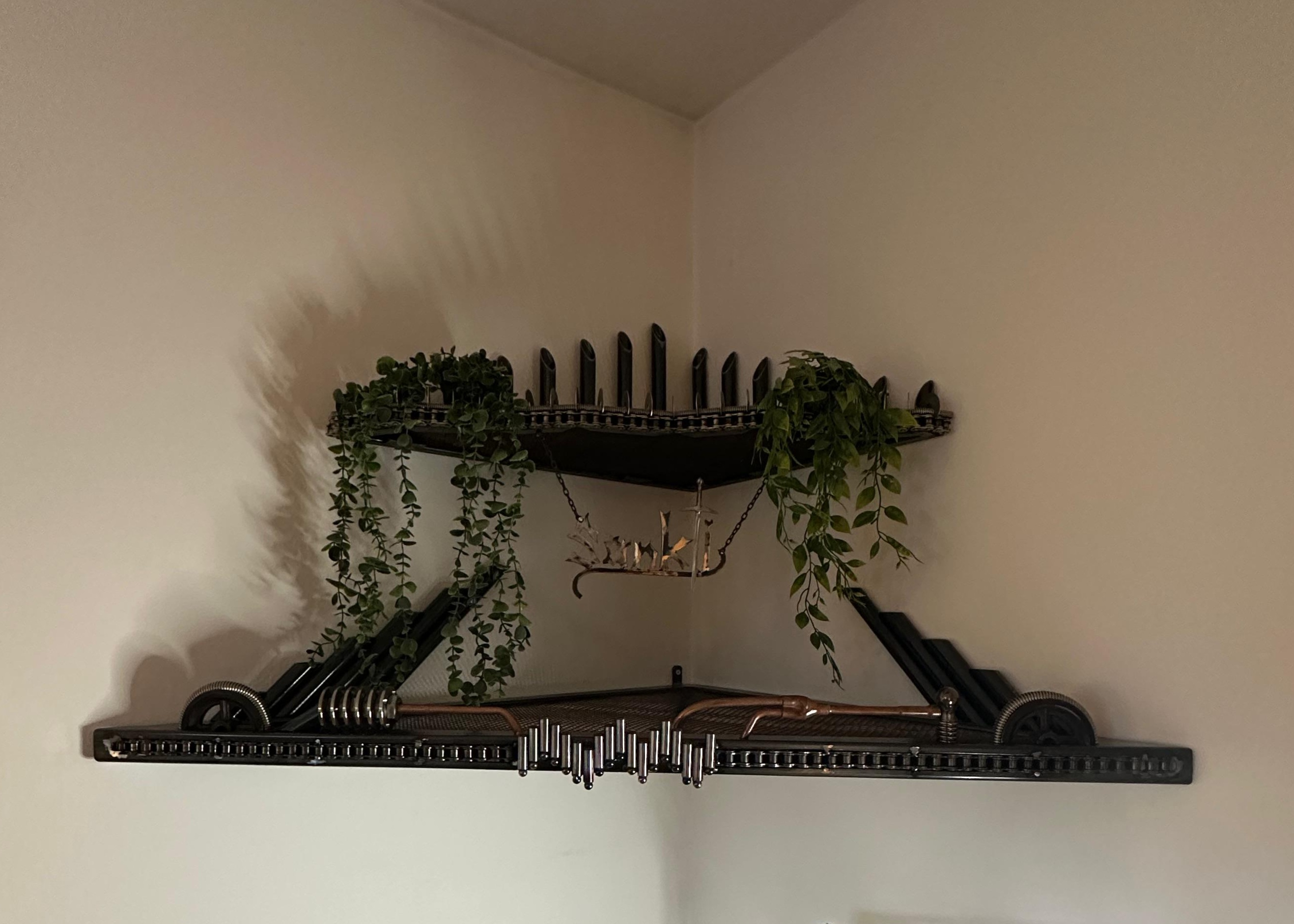 shelf 1